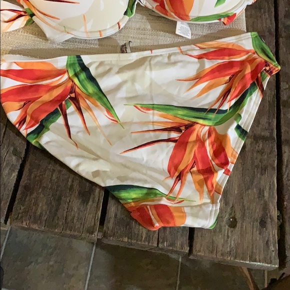Tommy Bahama Bikini - Picture 3 of 4
